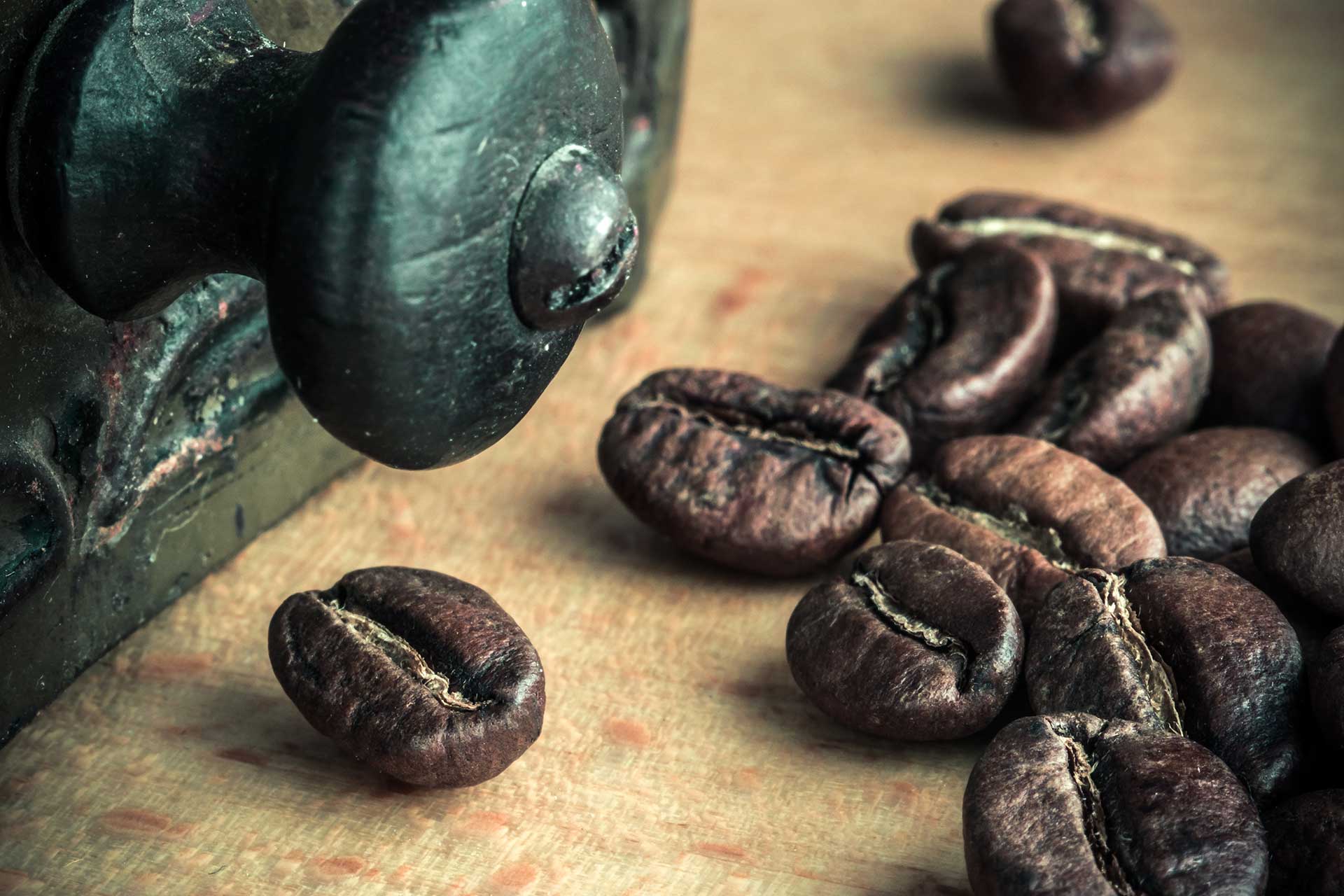 arabica és robusta kávé- összehasonlítása
